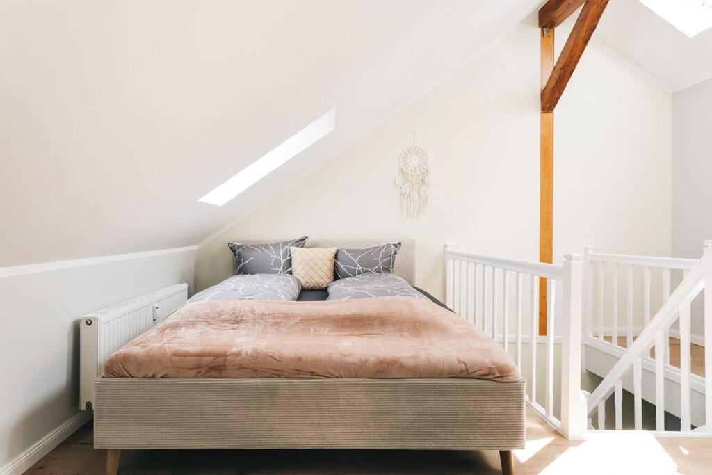 Tip! Toplage In Dresden! Moderne 100 Qm Ferienwohnung Fuer Familien Und Kleine Gruppen Exterior foto